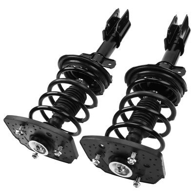 2 Pcs Rear Complete Strut & Coil Spring Assembly