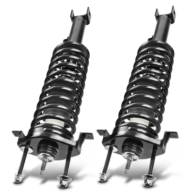 2 Pcs Rear Complete Strut & Coil Spring Assembly