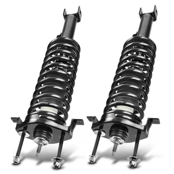 2-Pc Complete Strut + Coil Spring, Rear Driver & Passenger, A-Premium APSA1175