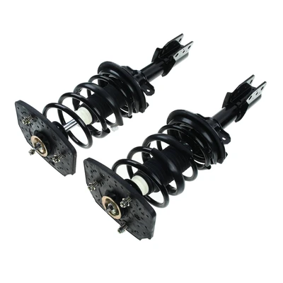 2 Pcs Rear Complete Strut & Coil Spring Assembly