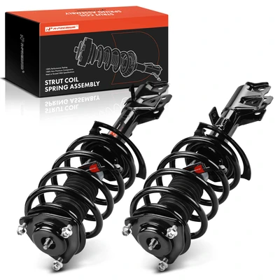 2 Pcs Front Complete Strut & Coil Spring Assembly