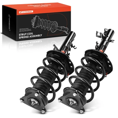 2 Pcs Front Complete Strut & Coil Spring Assembly