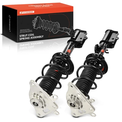 2 Pcs Rear Suspension Strut & Coil Spring Assembly