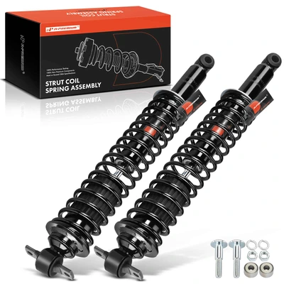 2 Pcs Rear Complete Strut & Coil Spring Assembly