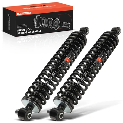 2 Pcs Front Complete Strut & Coil Spring Assembly