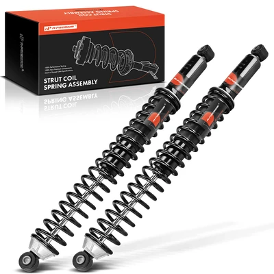 2009-2014 Ford F-150 2pc Strut and Coil Spring Assembly Set Rear Driver & Passenger A-Premium APSA2134