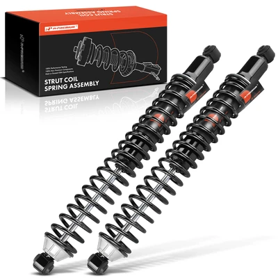 2 Pcs Rear Complete Strut & Coil Spring Assembly