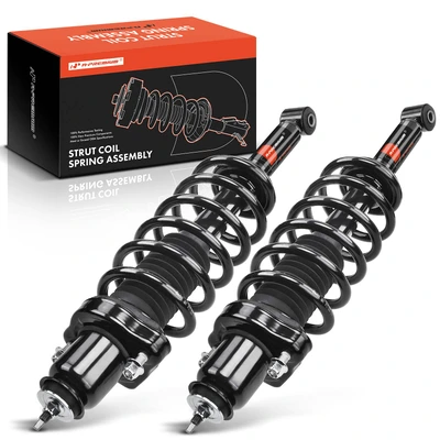 2 Pcs Rear Complete Strut & Coil Spring Assembly
