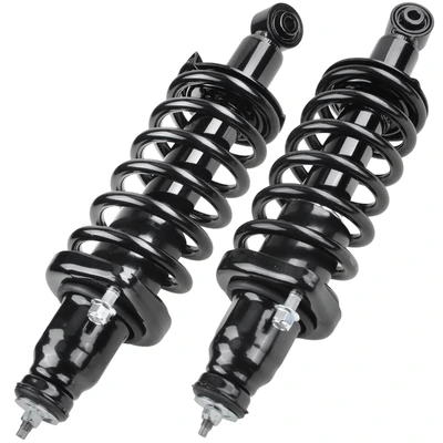 2 Pcs Rear Complete Strut & Coil Spring Assembly