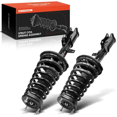 2 Pcs Rear Complete Strut & Coil Spring Assembly