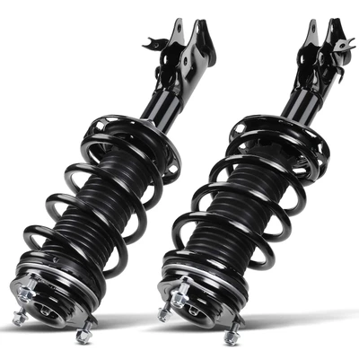 2 Pcs Front Complete Strut & Coil Spring Assembly