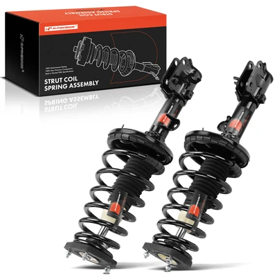 2 Pcs Rear Complete Strut & Coil Spring Assembly