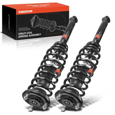2 Pcs Rear Complete Strut & Coil Spring Assembly