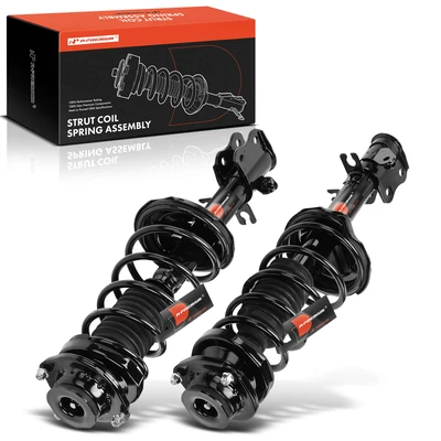 2 Pcs Rear Complete Strut & Coil Spring Assembly