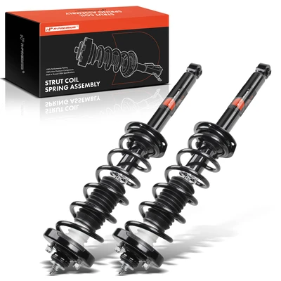 2 Pcs Rear Complete Strut & Coil Spring Assembly
