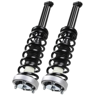 2 Pcs Rear Complete Strut & Coil Spring Assembly