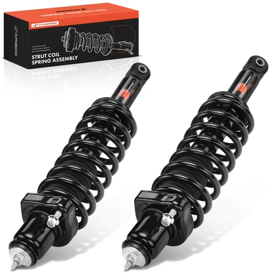 2 Pcs Rear Complete Strut & Coil Spring Assembly