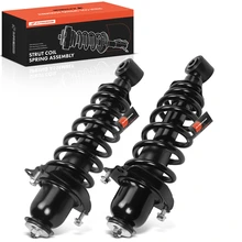 2 Pcs Rear Complete Strut & Coil Spring Assy