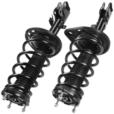 2 Pcs Rear Complete Strut & Coil Spring Assembly