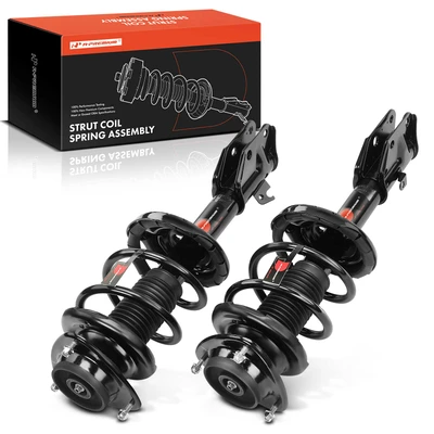 2 Pcs Front Complete Strut & Coil Spring Assembly