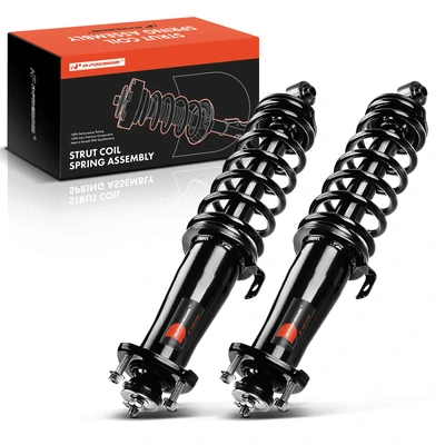 2 Pcs Rear Complete Strut & Coil Spring Assembly