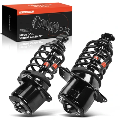 2 Pcs Rear Complete Strut & Coil Spring Assembly