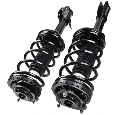 2 Pcs Rear Complete Strut & Coil Spring Assembly