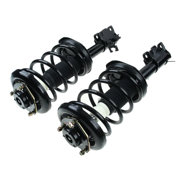 2000-2001 Nissan Maxima 2-Pc Strut and Coil Spring Assembly Set Front Driver & Passenger A-Premium APSA0281
