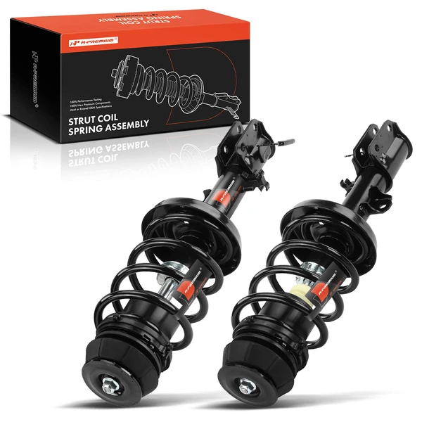 2001-2002 Saturn L100 2-Pc Strut and Coil Spring Assembly Set Front Driver & Passenger A-Premium APSA0299