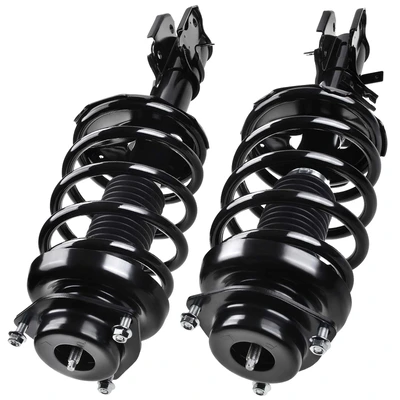 2 Pcs Front Complete Strut & Coil Spring Assembly