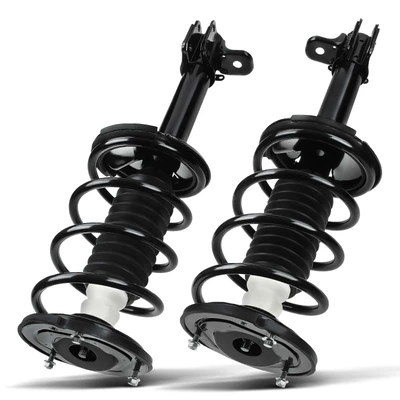 2 Pcs Rear Complete Strut & Coil Spring Assembly