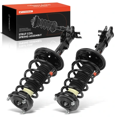 2 Pcs Rear Complete Strut & Coil Spring Assembly