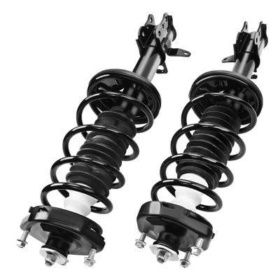 2 Pcs Rear Complete Strut & Coil Spring Assembly