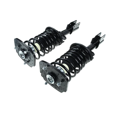 2 Pcs Rear Complete Strut & Coil Spring Assembly