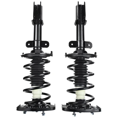 2 Pcs Rear Complete Strut & Coil Spring Assembly