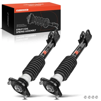 2 Pcs Rear Complete Strut & Coil Spring Assembly