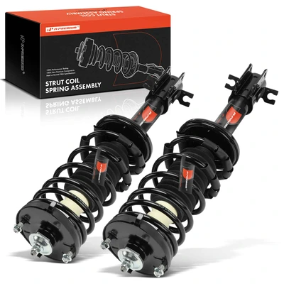 2 Pcs Rear Complete Strut & Coil Spring Assembly