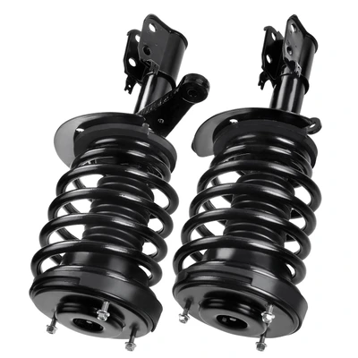 2 Pcs Front Complete Strut & Coil Spring Assembly