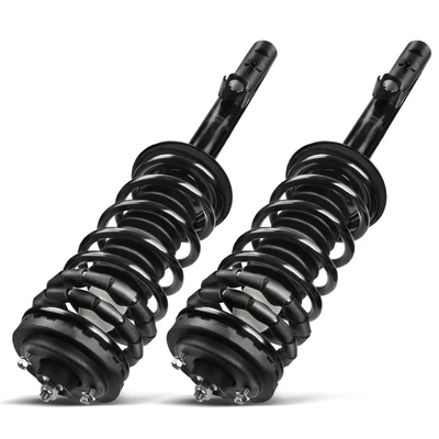 2 Pcs Rear Complete Strut & Coil Spring Assembly