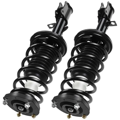 2 Pcs Rear Complete Strut & Coil Spring Assembly