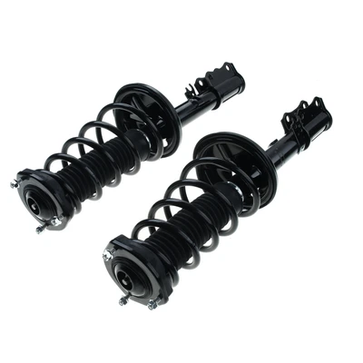 2 Pcs Rear Complete Strut & Coil Spring Assembly