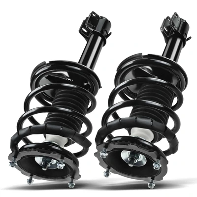 2 Pcs Rear Complete Strut & Coil Spring Assembly