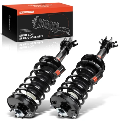2 Pcs Rear Complete Strut & Coil Spring Assembly