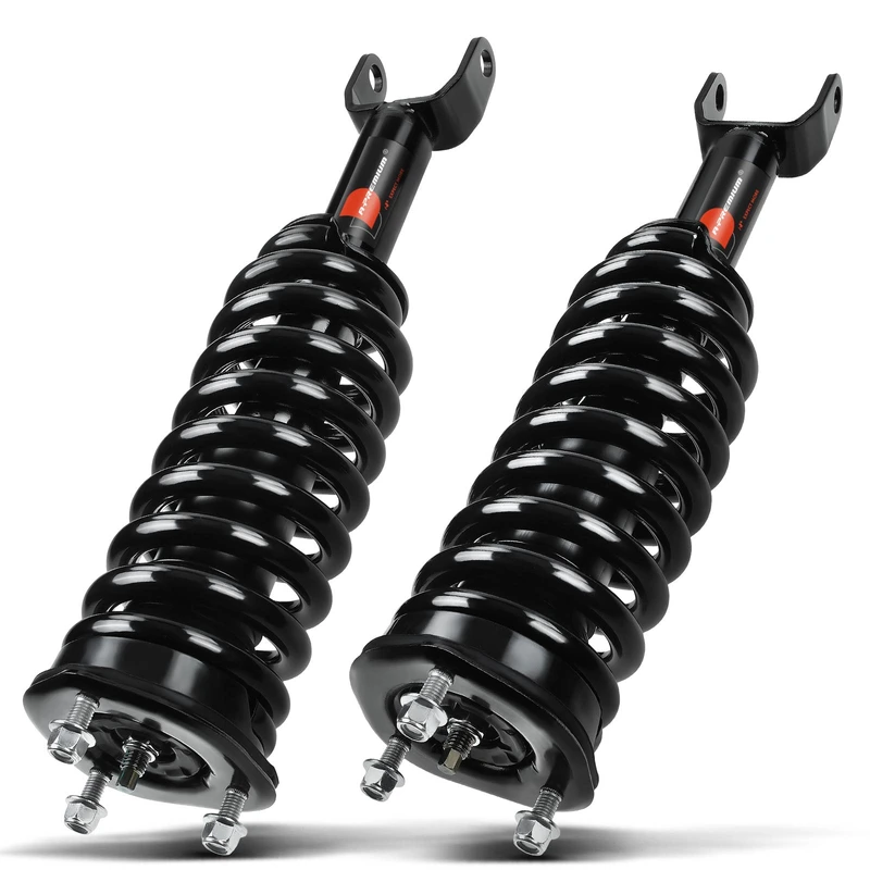 2007 Dodge Dakota 2-Pc Strut and Coil Spring Assembly Set Front Driver & Passenger A-Premium APSA0208