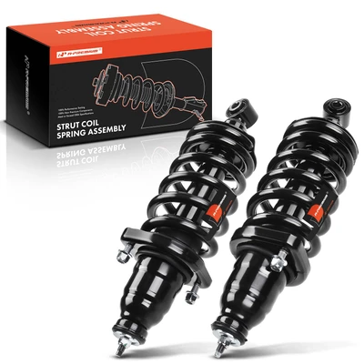2 Pcs Rear Complete Strut & Coil Spring Assembly