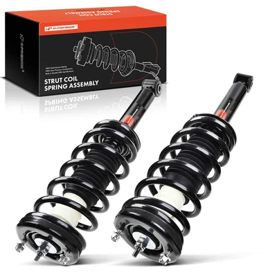 2 Pcs Rear Complete Strut & Coil Spring Assembly