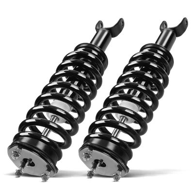 2 Pcs Front Complete Strut & Coil Spring Assembly