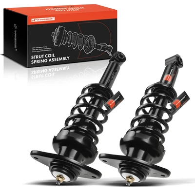 2 Pcs Rear Complete Strut & Coil Spring Assembly