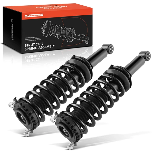 2-Pc Strut and Coil Spring Assembly Set Rear Driver & Passenger A-Premium APSA0215