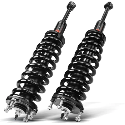 2 Pcs Front Complete Strut & Coil Spring Assembly